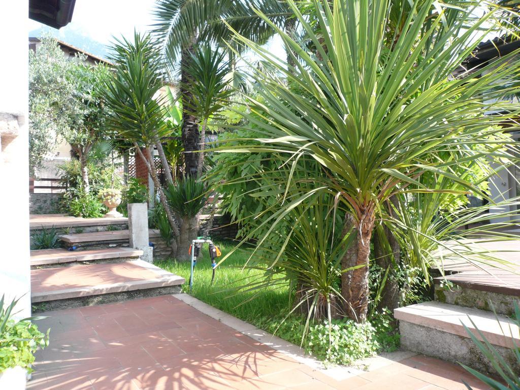 Oasi Holiday Apartment Toscolano Maderno